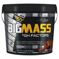 BigJoy Big Joy Big Mass +GH Factors 5000 Gr